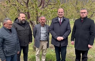 Tokat’ta Tarım ve Hayvancılık Çöküşün Eşiğinde:...