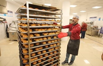 Tokat Gaziosmanpaşa Üniversitesi'nden Üretim Hamlesi: 10 Ayda 2 Milyon TL Tasarruf!